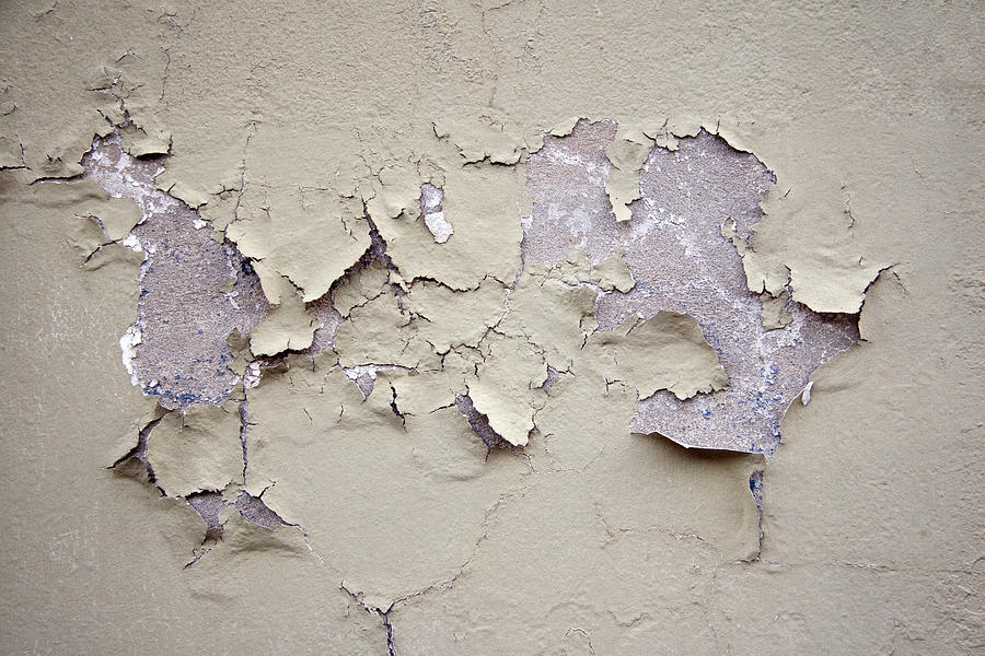 Peeling paint Photograph by Hanis