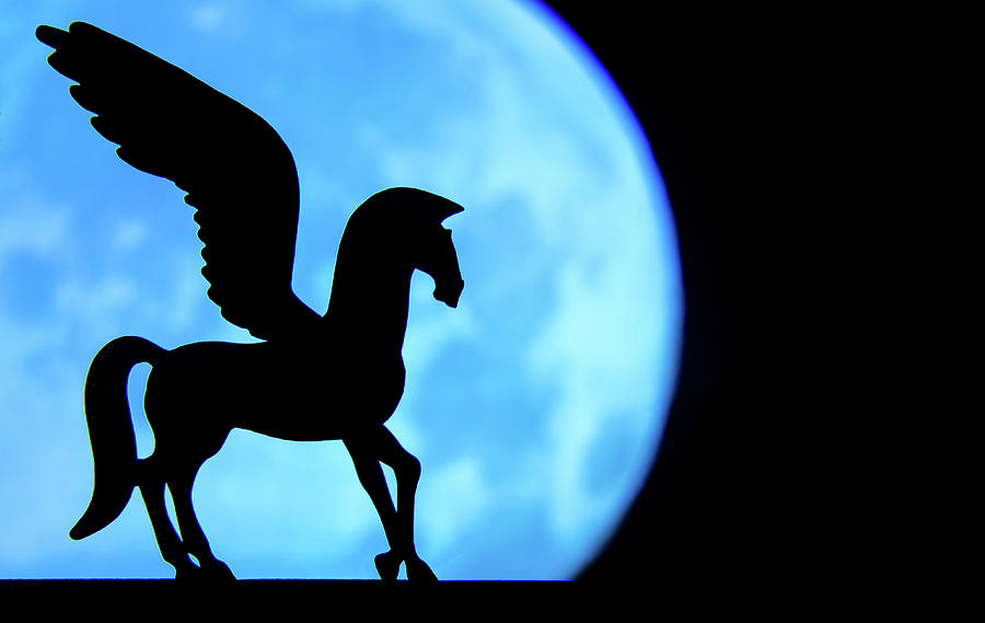 Pegasus and Blue Moon Photograph by Ali Nasser