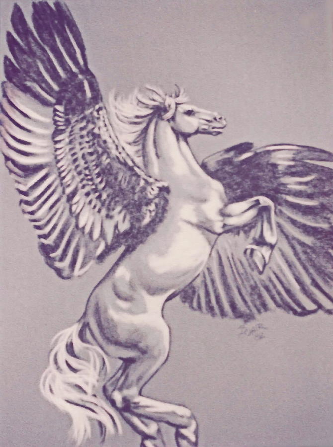 Pegasus Drawing by Barbara Keith