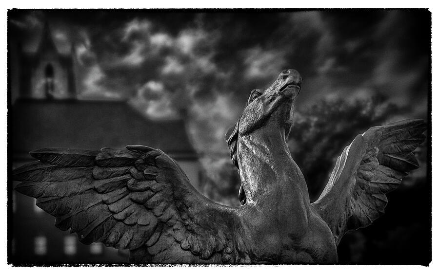 Pegasus Rising at Nightfall Photograph by Daniel Fleming Pegasus Rising at Nightfall Photograph by Daniel Fleming