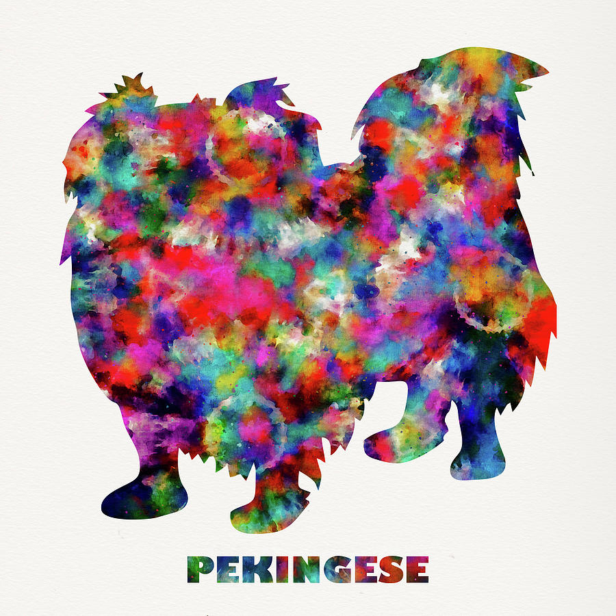 Pekingese Tie Dye Dog Art Digital Art by Peggy Collins