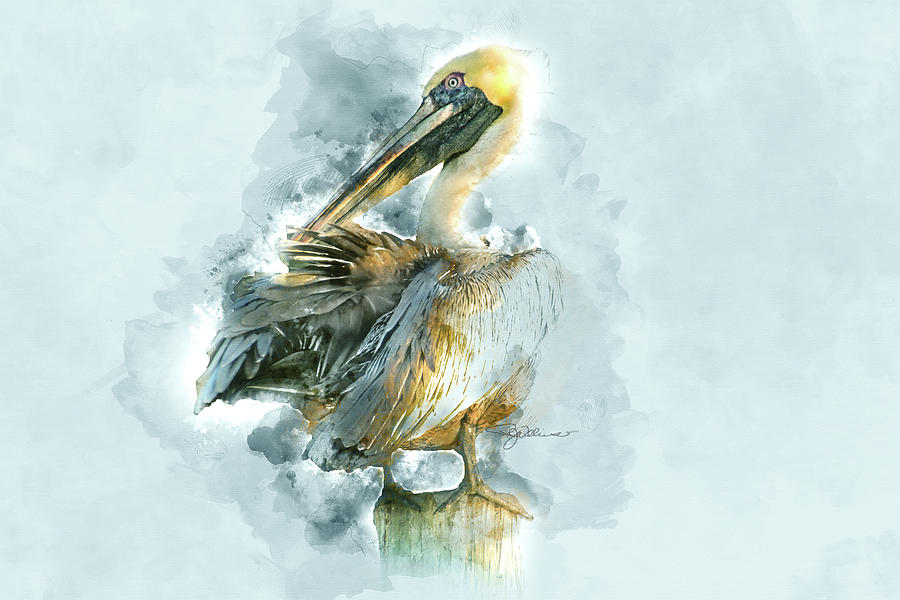 Pelican 2 Watercolor Digital Art by Pamela Williams