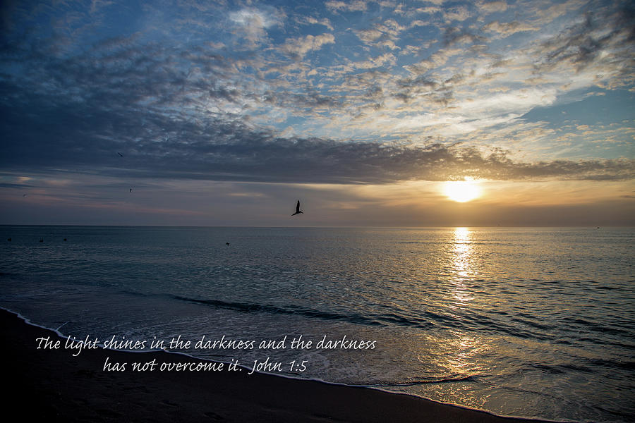 Pelican at Sunset with Bible verse Photograph by John A Megaw