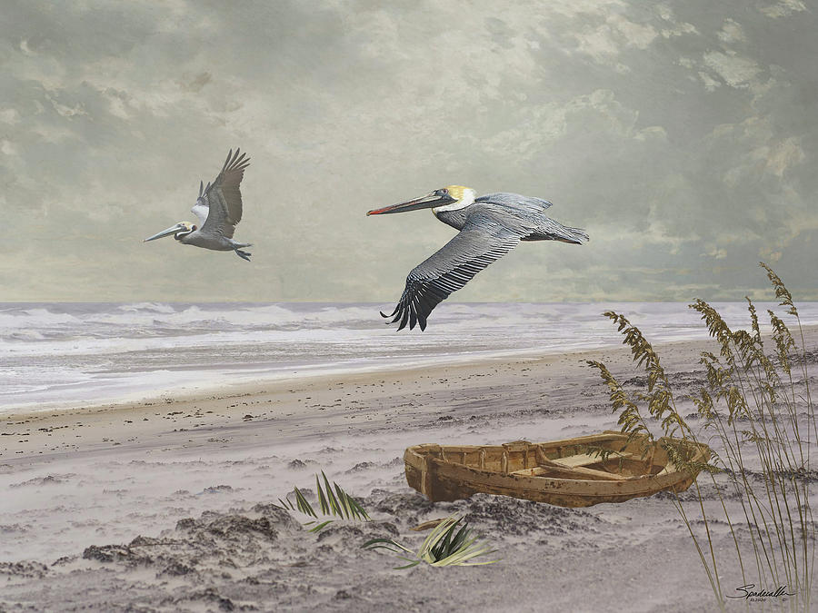  Pelican Beach Digital Art by M Spadecaller