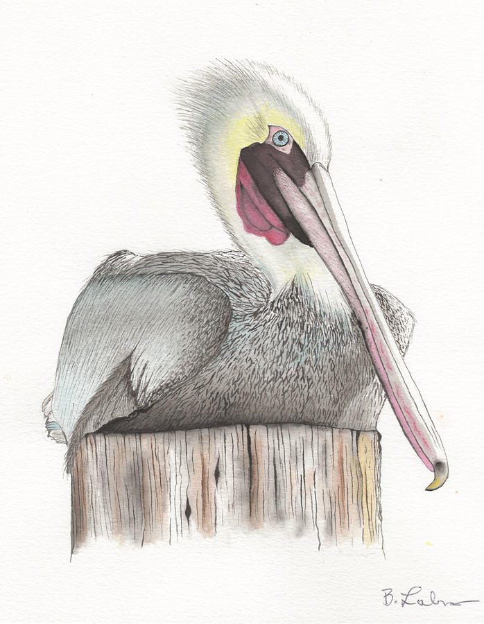 Pelican Painting by Bob Labno