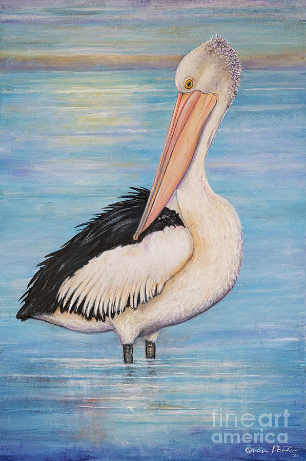 Pelican by the Bay Painting by Owen Pointon - Fine Art America