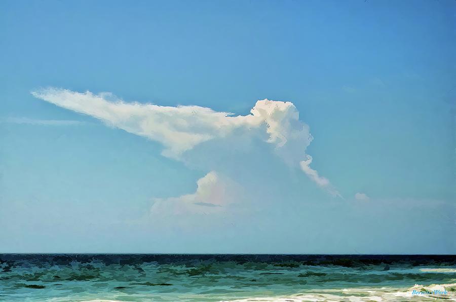 Pelican Cloud Photograph by Roberta Byram