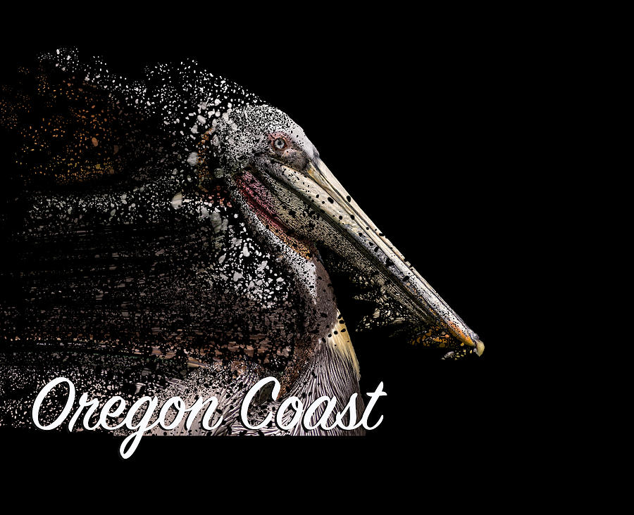 Pelican Coast Digital Art by Bill Posner