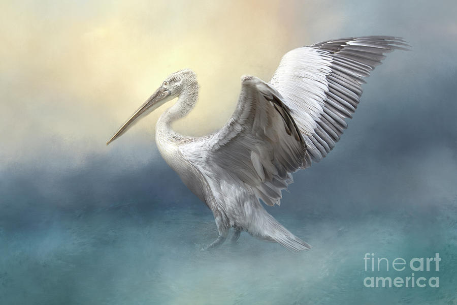 Pelican Mixed Media - Pelican Flapping Her Wings 01 by Elisabeth Lucas