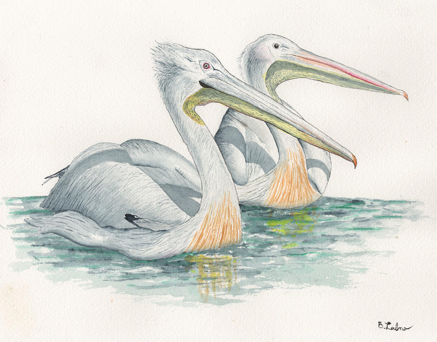 Pelican Float Painting by Bob Labno