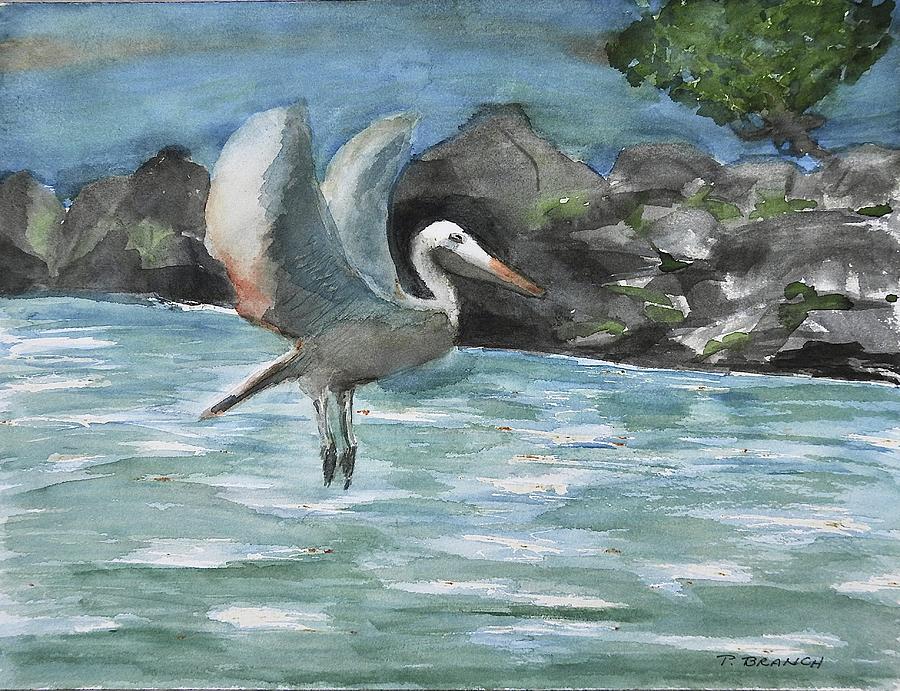 Pelican In Flight Painting by Pat Branch-Fontaine
