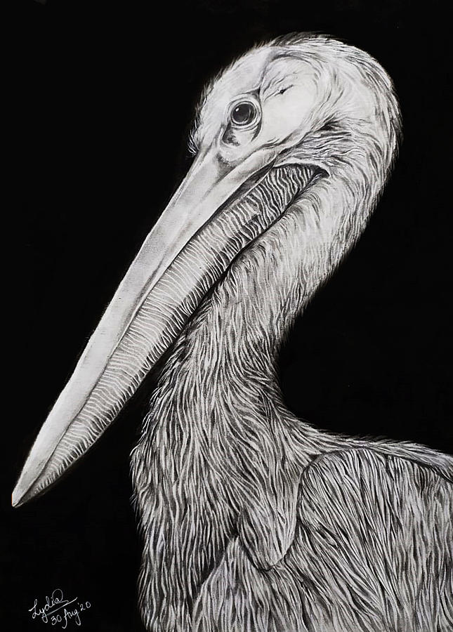 Pelican Pastel by KeLy's ArtLane - Fine Art America