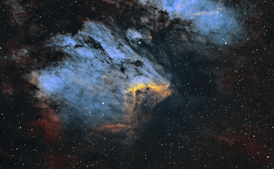Pelican Nebula Photograph by Brian Weber