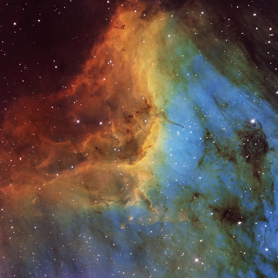 Pelican nebula Photograph by Eric Ganz - Fine Art America