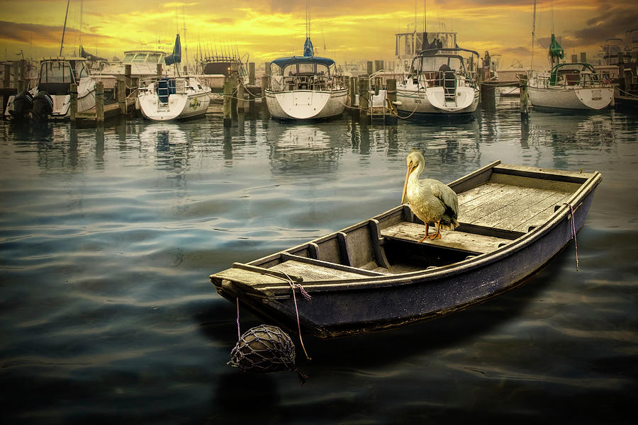 Pelican on a Small Boat at Sunrise in a Coastal Harbor Photograph by Randall Nyhof