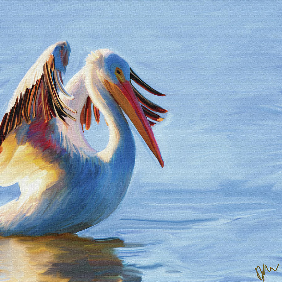 Pelican Paradise Digital Art by Dana Dara - Fine Art America