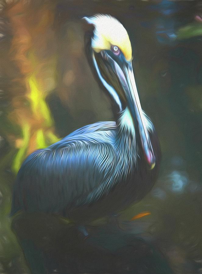 Pelican Portrait Mixed Media by Steve DaPonte