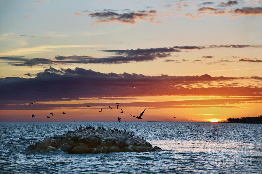 Pelican Rock Sunset Photograph by Catherine Sherman