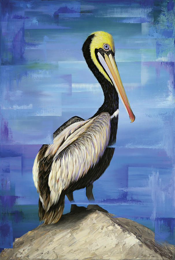 Pelican Painting By Shawn Dixon - Fine Art America