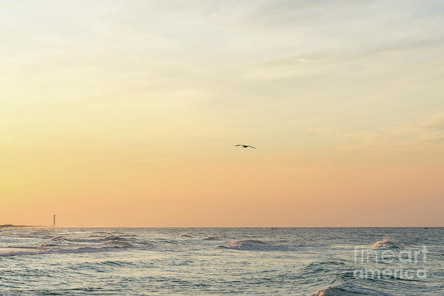Pelican Sunrise Flight Navarre Beach Photograph by Jennifer White