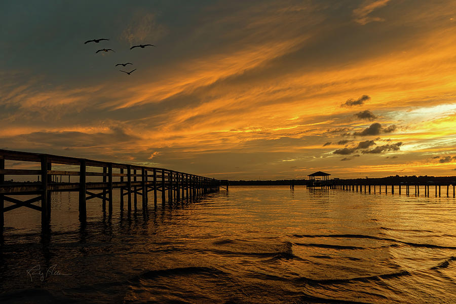 Pelican Sunset Photograph by Randall Allen