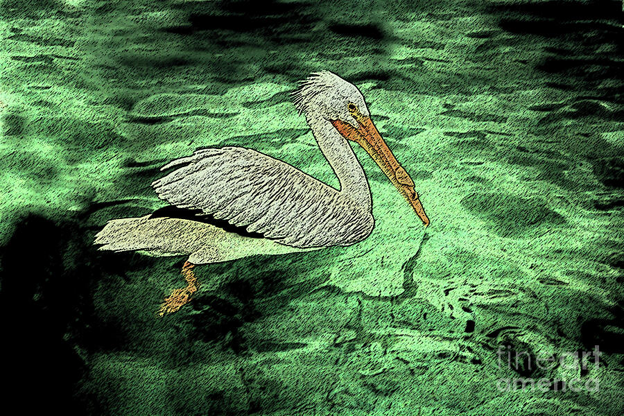 Pelicano  Digital Art by Mary Mikawoz