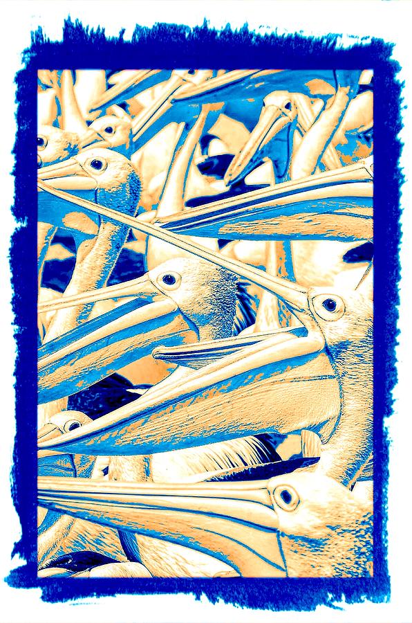 Bird Digital Art - Pelicans In Blue by Steven Parker
