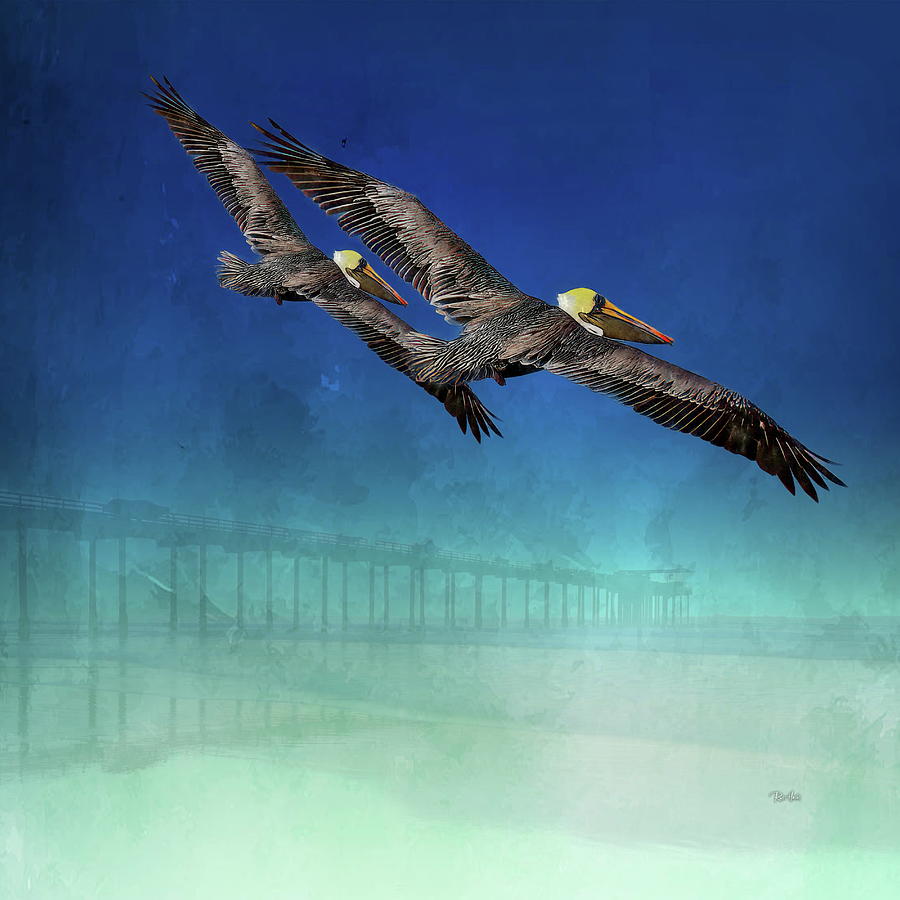 Pelicans in Flight at Scripps Pier Digital Art by Russ Harris