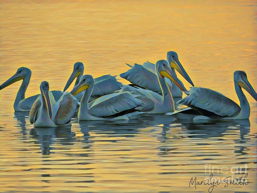 Pelicans Painting by Marilyn Smith
