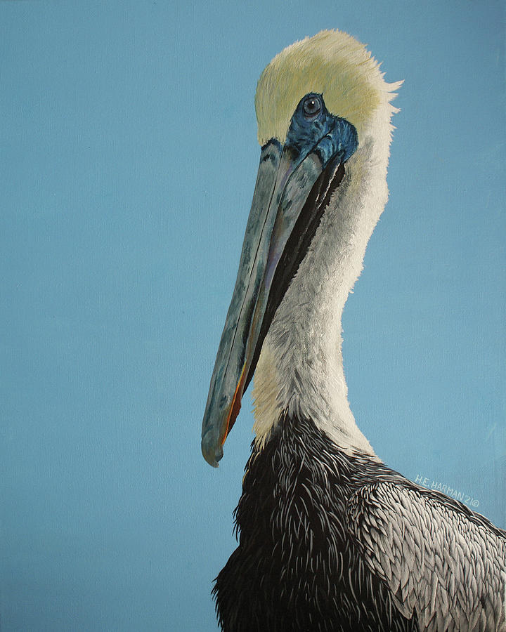 Pelicanus Magnificus Painting by Heather E Harman