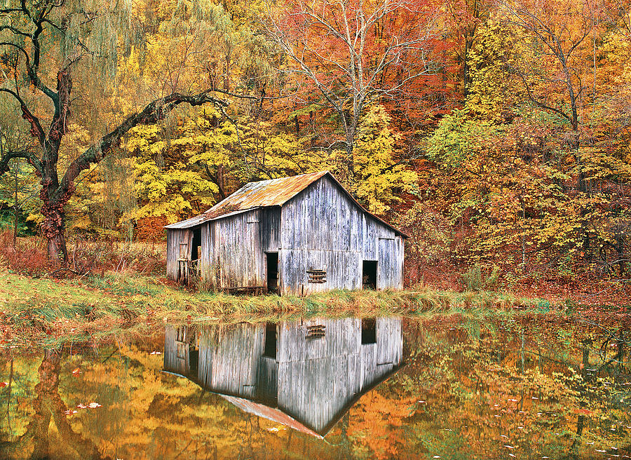 Pellucid Reflection In The Heart Of The Appalachia, Rockbridge County, Virginia Photograph by Bijan Pirnia