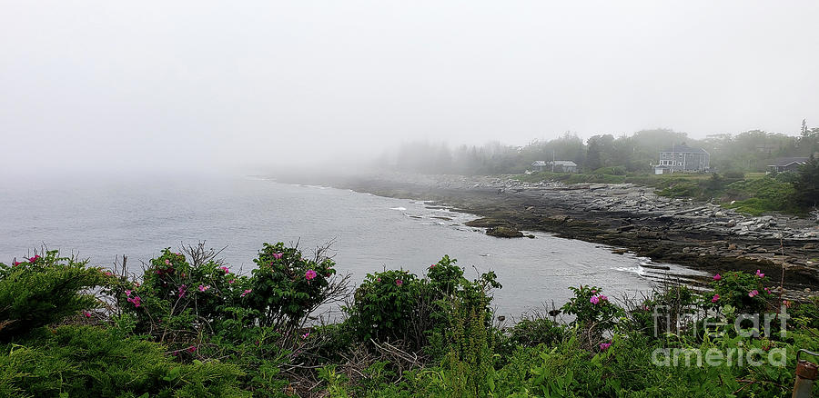 Pemaquid Coast Photograph by Mary Capriole