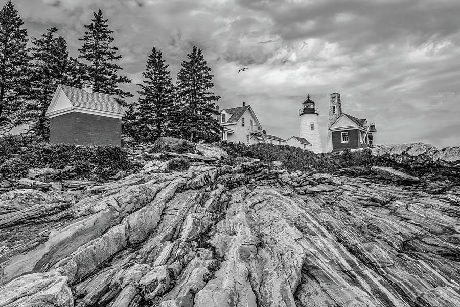 Pemaquid Lighthouse on the coast of Maine, Black and White Photograph by Marcy Wielfaert