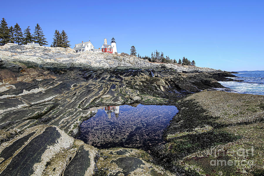 Pemaquid Point Light reflection Photograph by George Kenhan