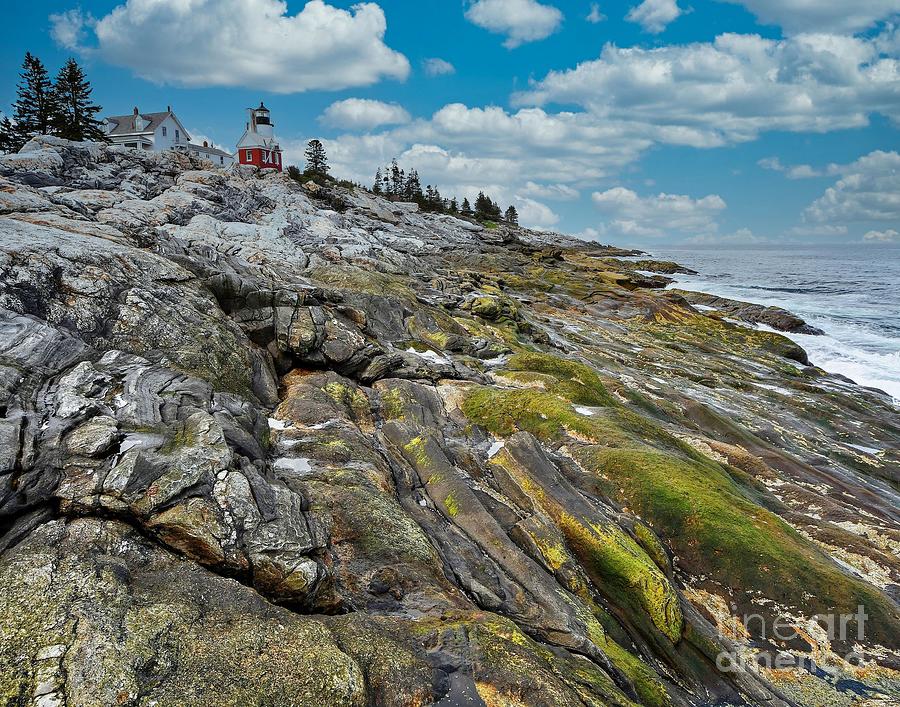 Pemaquid Point Light Photograph by Steve Brown