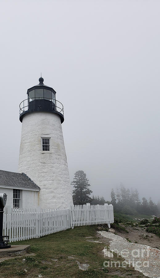 Pemaquid Point Lighthouse  Photograph by Mary Capriole