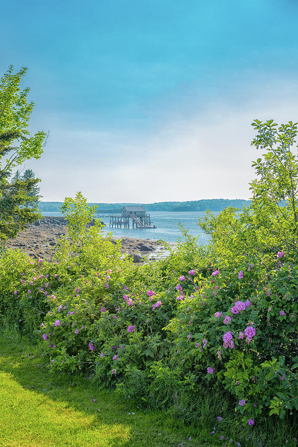 Pemaquid River, Bristol, Maine Photograph by Richard Plourde - Fine Art ...