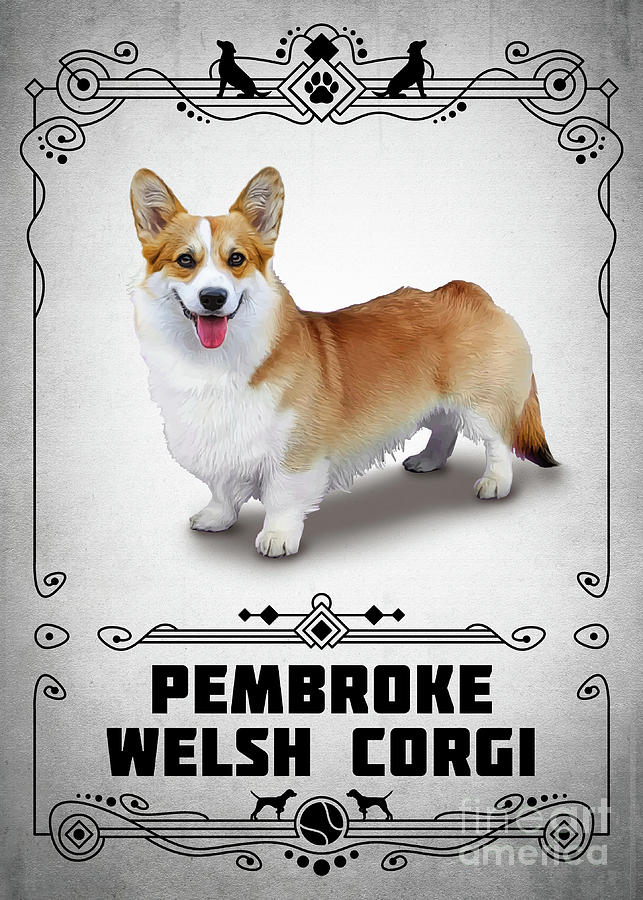 https://images.fineartamerica.com/images/artworkimages/mediumlarge/3/pembroke-welsh-corgi-bo-kev.jpg