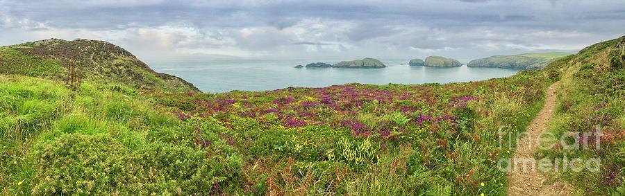 Pembrokeshire coast panorama Photograph by Patricia Hofmeester