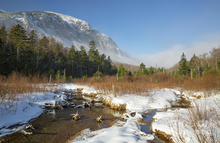 Pemi Trail - Franconia Notch State Park New Hampshire Photograph by Erin Paul Donovan