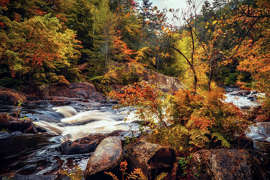 Pemigewasset river in NH 8 Photograph by Lilia D