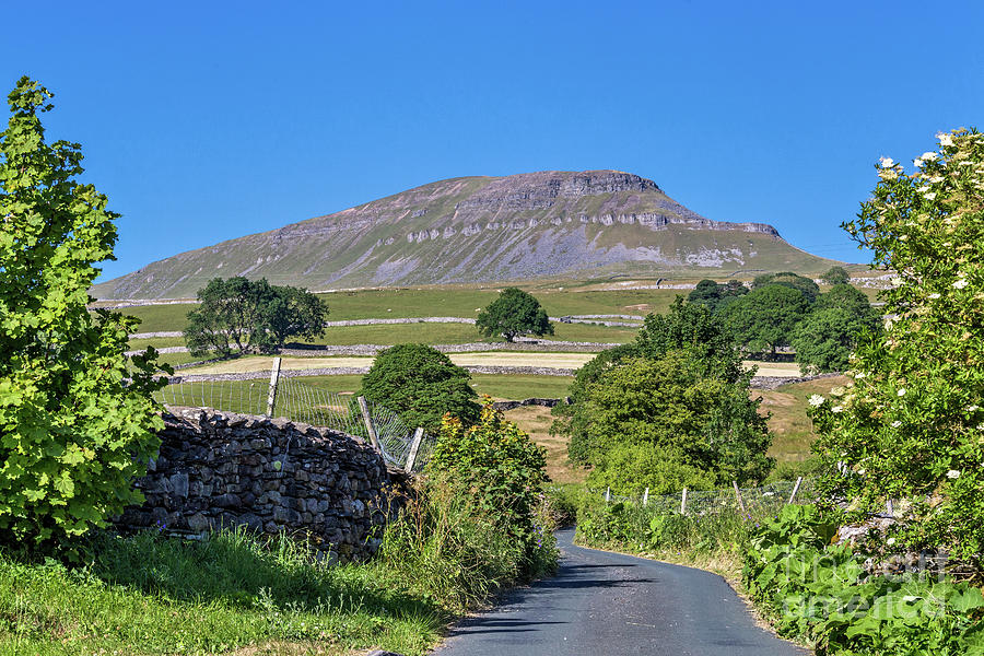 Pen-y-ghent Photograph by Tom Holmes Photography