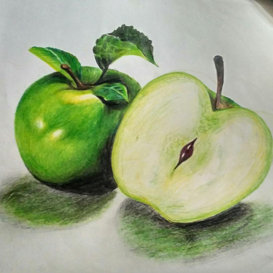 Pencil Drawing Drawing By Rachana Kumari