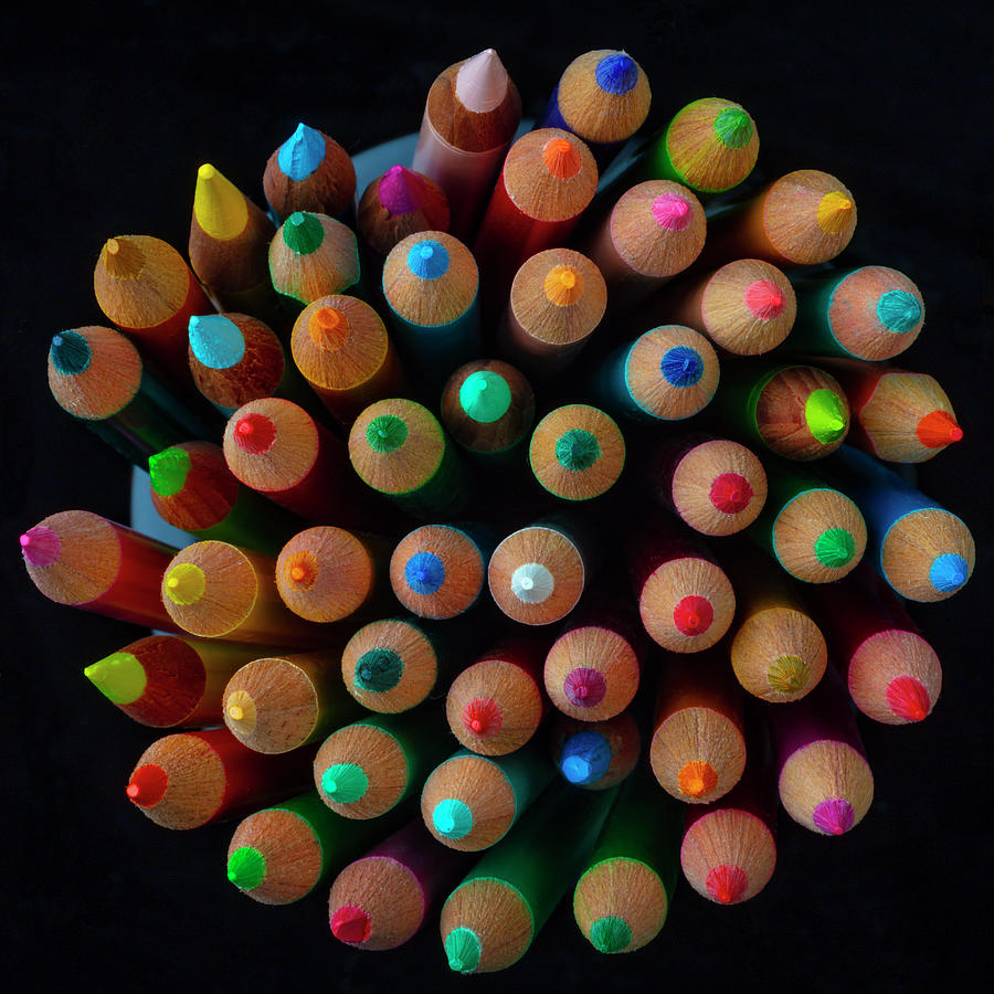 Still Life Photograph - Pencils In Circle Container by Garry Gay