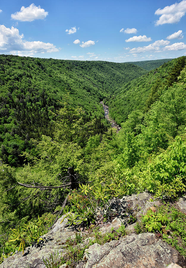 Pendleton Point Overlook - West Virginia Photograph by Brendan Reals