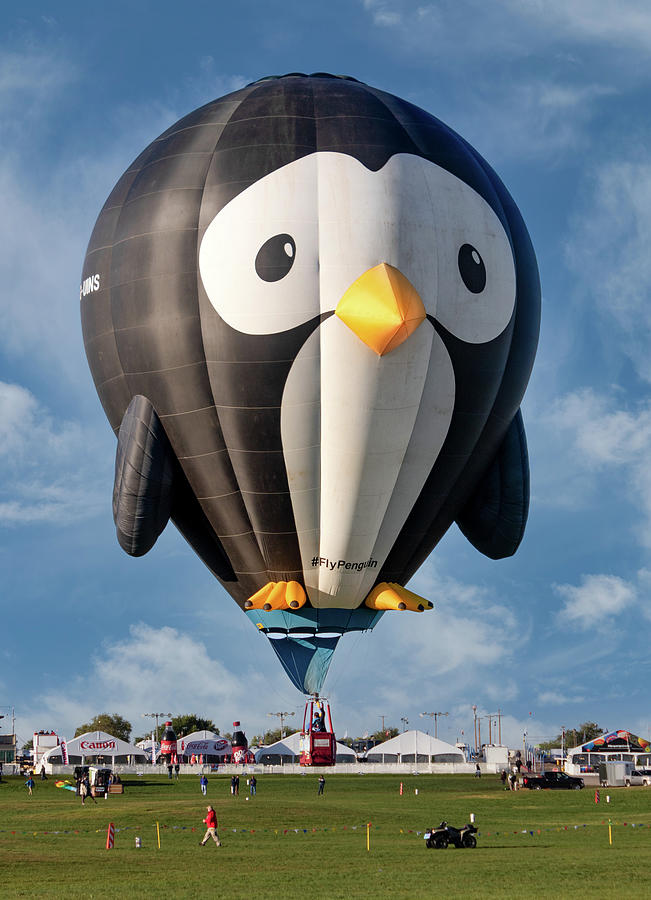 Penguin Balloon Take Off Photograph