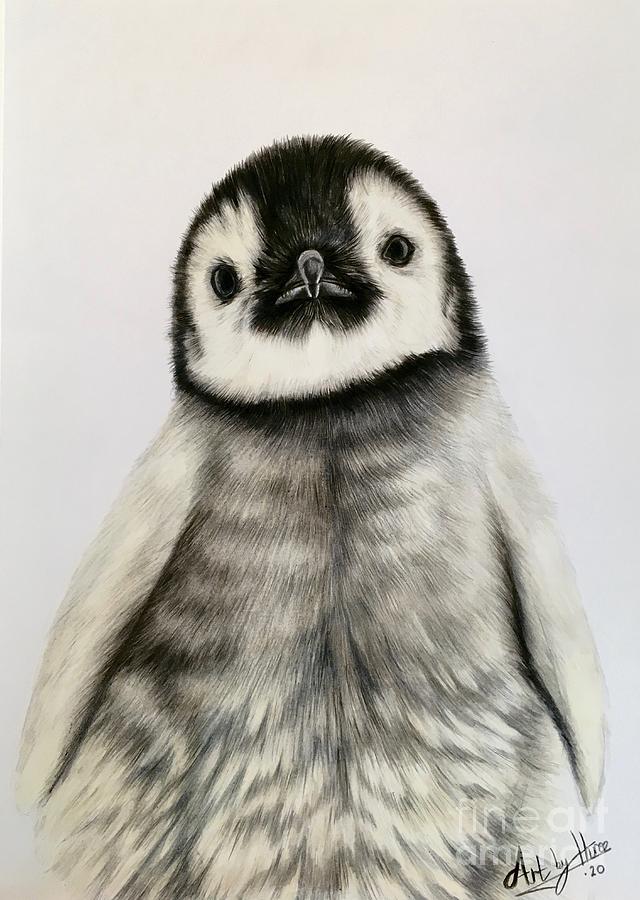 Penguin Chick Drawing by Art By Three Sarah Rebekah Rachel White