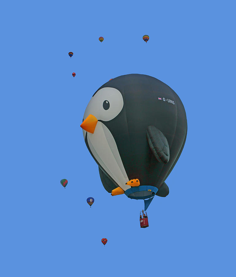 Penguin Photograph - Penguin - Hot Air Balloon - Transparent by Nikolyn McDonald