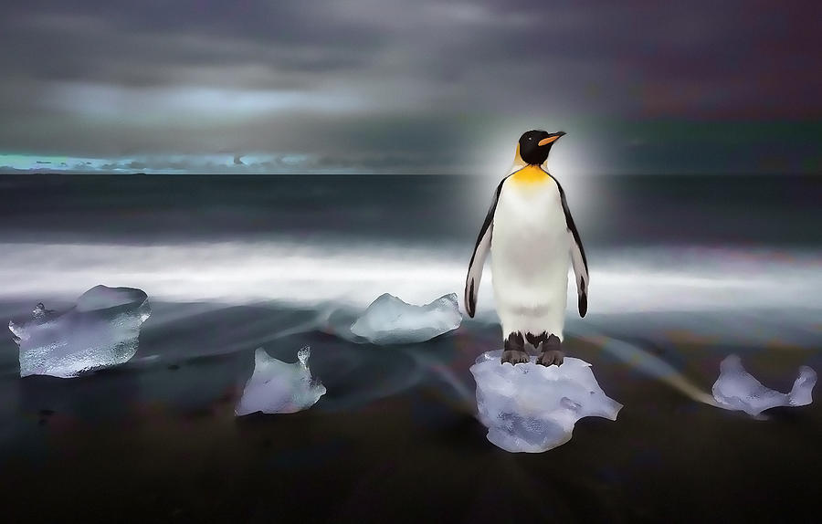 Penguin Island Mixed Media by Marvin Blaine