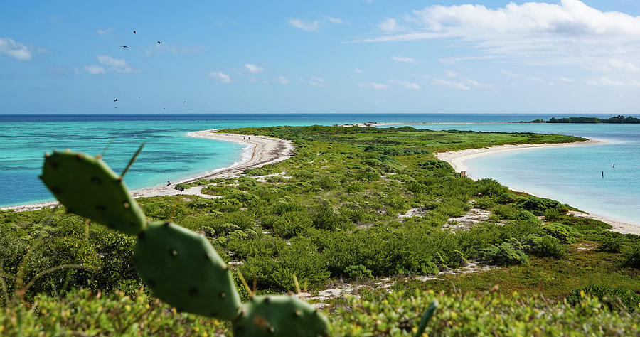 Peninsula and Blue Water Photograph by Julie A Murray - Fine Art America